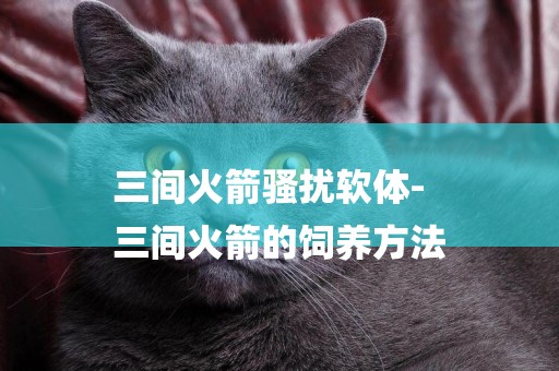 三間火箭騷擾軟體-
三間火箭的飼養方法