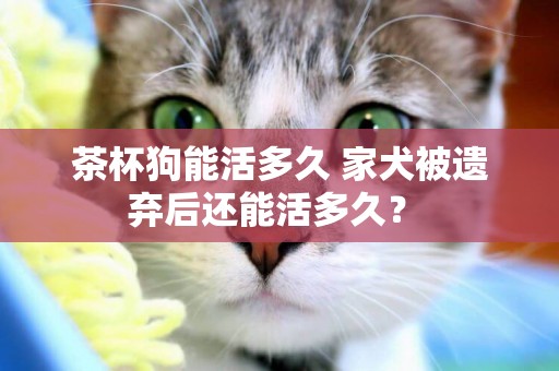 茶杯狗能活多久 家犬被遺棄后還能活多久？ 