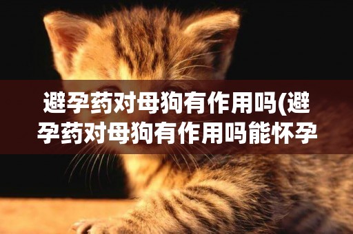 避孕藥對母狗有作用嗎(避孕藥對母狗有作用嗎能懷孕嗎)