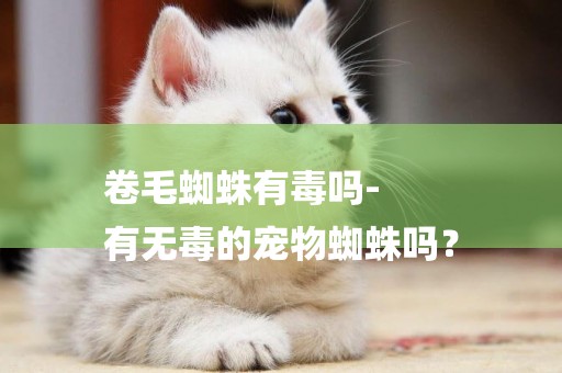卷毛蜘蛛有毒嗎-
有無毒的寵物蜘蛛嗎？