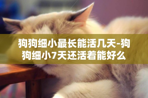 狗狗細小最長能活幾天-狗狗細小7天還活著能好么