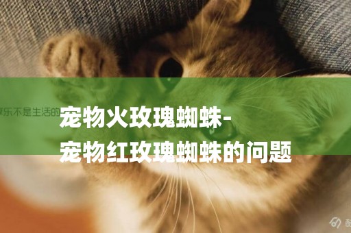 寵物火玫瑰蜘蛛-
寵物紅玫瑰蜘蛛的問題