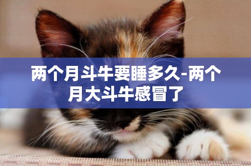 兩個月斗牛要睡多久-兩個月大斗牛感冒了