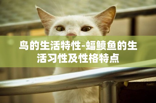 鳥的生活特性-蝠鲼魚的生活習性及性格特點