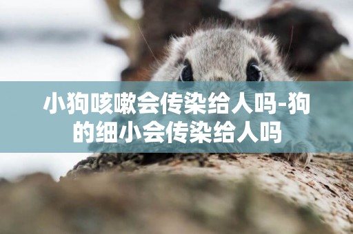 小狗咳嗽會傳染給人嗎-狗的細小會傳染給人嗎