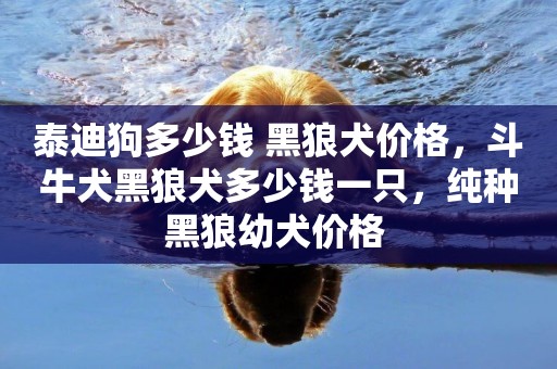 泰迪狗多少錢 黑狼犬價格，斗牛犬黑狼犬多少錢一只，純種黑狼幼犬價格 