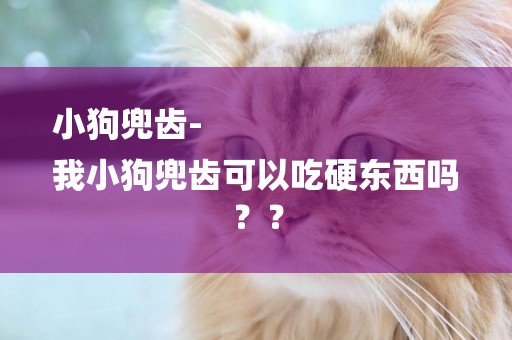 小狗兜齒-
我小狗兜齒可以吃硬東西嗎？？