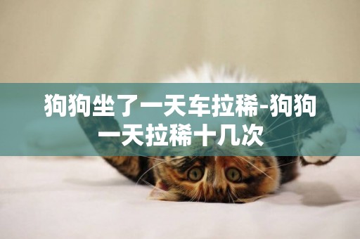 狗狗坐了一天車拉稀-狗狗一天拉稀十幾次