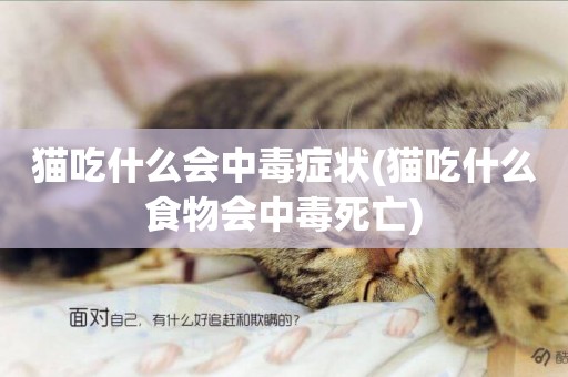貓吃什么會中毒癥狀(貓吃什么食物會中毒死亡)