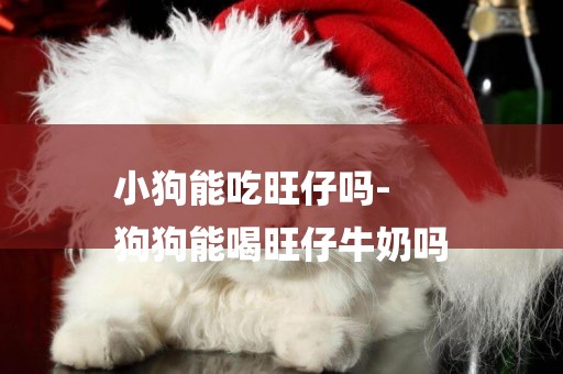 小狗能吃旺仔嗎-
狗狗能喝旺仔牛奶嗎