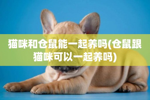 貓咪和倉鼠能一起養嗎(倉鼠跟貓咪可以一起養嗎)