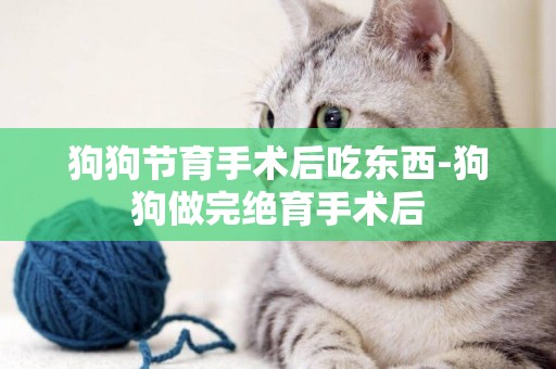 狗狗節育手術后吃東西-狗狗做完絕育手術后