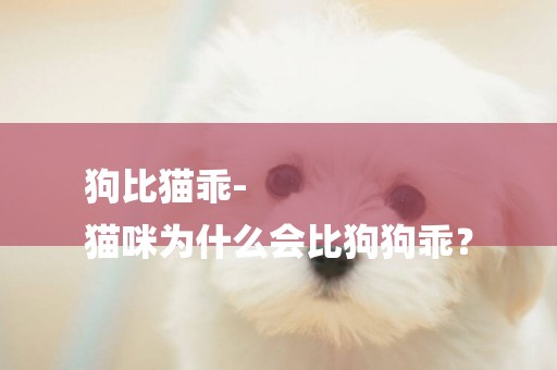 狗比貓乖-
貓咪為什么會比狗狗乖？