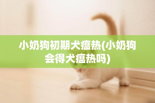 小奶狗初期犬瘟熱(小奶狗會得犬瘟熱嗎)