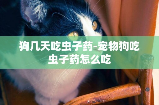 狗幾天吃蟲子藥-寵物狗吃蟲子藥怎么吃
