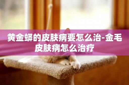 黃金蟒的皮膚病要怎么治-金毛皮膚病怎么治療