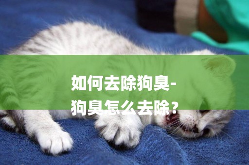 如何去除狗臭-
狗臭怎么去除？