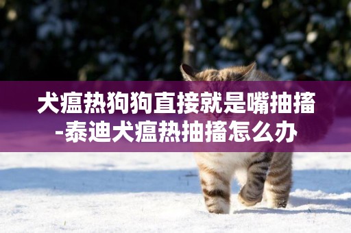 犬瘟熱狗狗直接就是嘴抽搐-泰迪犬瘟熱抽搐怎么辦