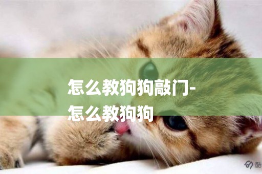 怎么教狗狗敲門-
怎么教狗狗