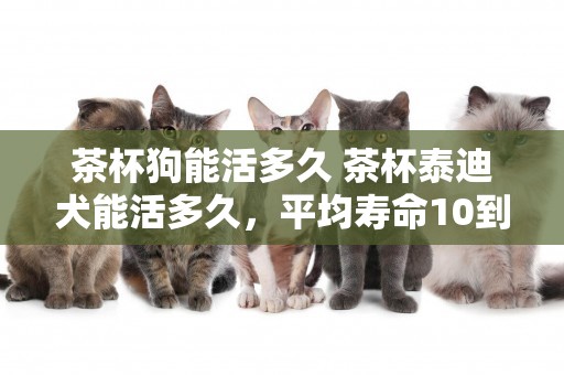 茶杯狗能活多久 茶杯泰迪犬能活多久，平均壽命10到15年左右 