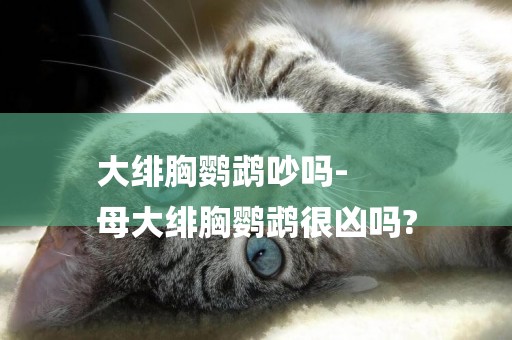 大緋胸鸚鵡吵嗎-
母大緋胸鸚鵡很兇嗎?