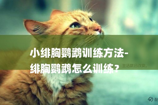 小緋胸鸚鵡訓練方法-
緋胸鸚鵡怎么訓練？