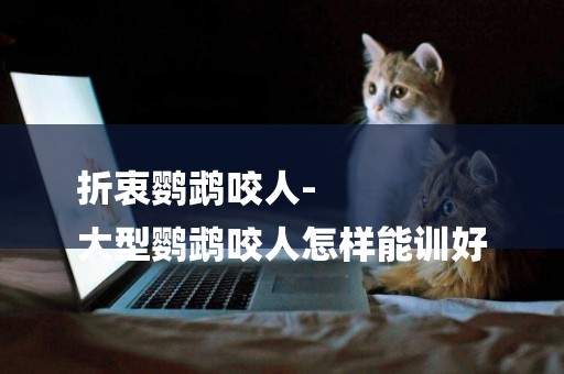 折衷鸚鵡咬人-
大型鸚鵡咬人怎樣能訓好