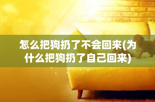 怎么把狗扔了不會回來(為什么把狗扔了自己回來)