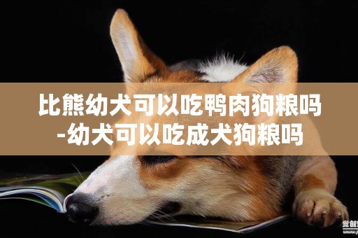 比熊幼犬可以吃鴨肉狗糧嗎-幼犬可以吃成犬狗糧嗎
