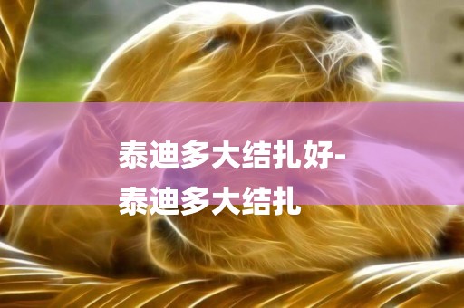 泰迪多大結扎好-
泰迪多大結扎