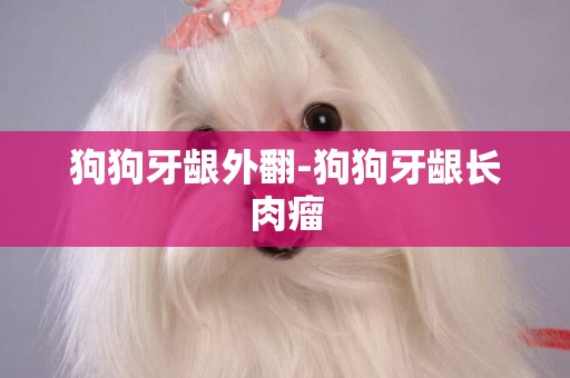 狗狗牙齦外翻-狗狗牙齦長肉瘤