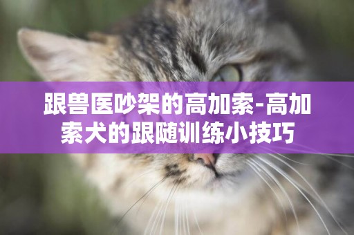 跟獸醫吵架的高加索-高加索犬的跟隨訓練小技巧