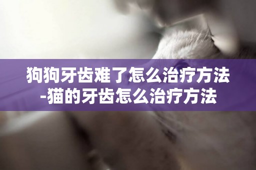 狗狗牙齒難了怎么治療方法-貓的牙齒怎么治療方法