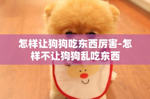 怎樣讓狗狗吃東西厲害-怎樣不讓狗狗亂吃東西