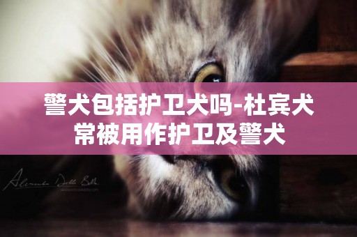 警犬包括護衛犬嗎-杜賓犬常被用作護衛及警犬