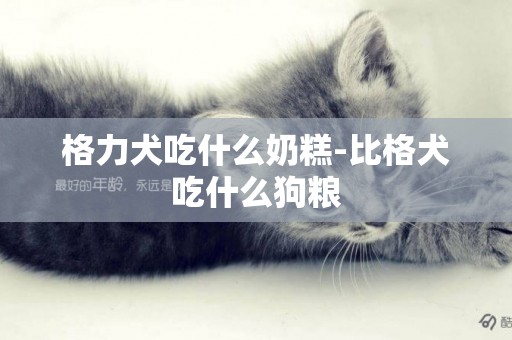 格力犬吃什么奶糕-比格犬吃什么狗糧