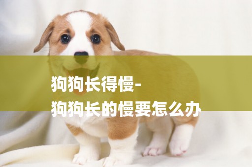 狗狗長得慢-
狗狗長的慢要怎么辦