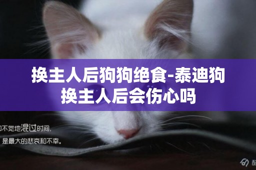 換主人后狗狗絕食-泰迪狗換主人后會傷心嗎