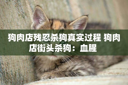 狗肉店殘忍殺狗真實過程 狗肉店街頭殺狗：血腥 