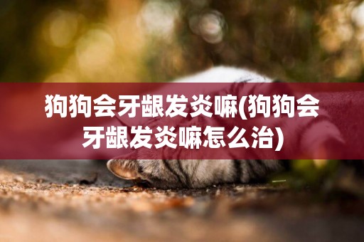 狗狗會牙齦發炎嘛(狗狗會牙齦發炎嘛怎么治)