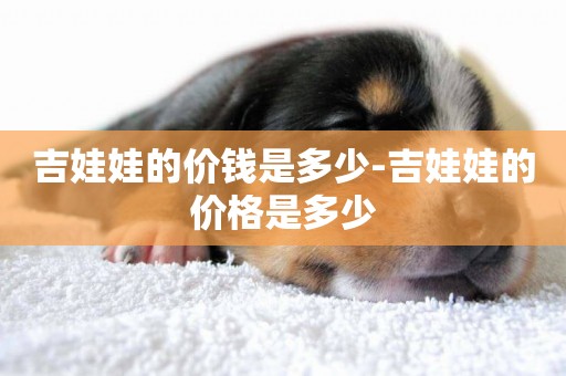吉娃娃的價錢是多少-吉娃娃的價格是多少
