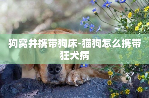 狗窩并攜帶狗床-貓狗怎么攜帶狂犬病