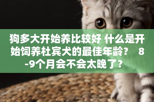 狗多大開始養比較好 什么是開始飼養杜賓犬的最佳年齡？  8-9個月會不會太晚了？ 