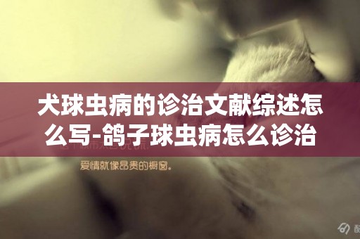 犬球蟲病的診治文獻綜述怎么寫-鴿子球蟲病怎么診治