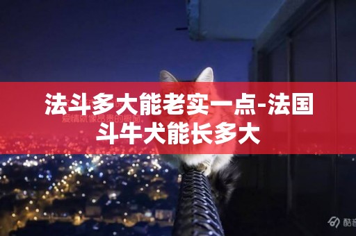 法斗多大能老實一點-法國斗牛犬能長多大