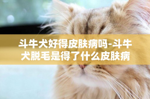 斗牛犬好得皮膚病嗎-斗牛犬脫毛是得了什么皮膚病