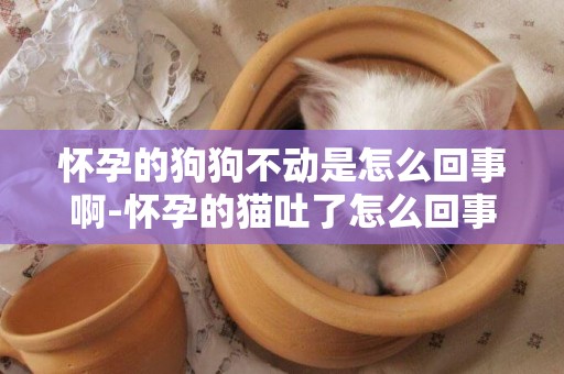 懷孕的狗狗不動是怎么回事啊-懷孕的貓吐了怎么回事啊