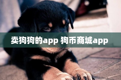 賣狗狗的app 狗幣商城app 