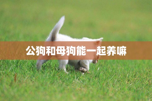 公狗和母狗能一起養嘛