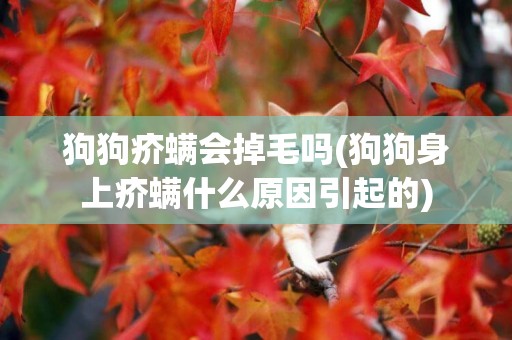 狗狗疥螨會掉毛嗎(狗狗身上疥螨什么原因引起的)